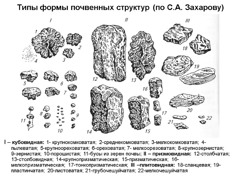 Типы формы почвенных структур (по С.А. Захарову)  I – кубовидная: 1- крупнокомковатая; 2-среднекомковатая;